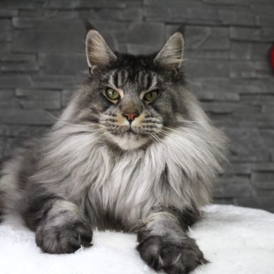 597849387_1471736144953830_7021107359737672899_n