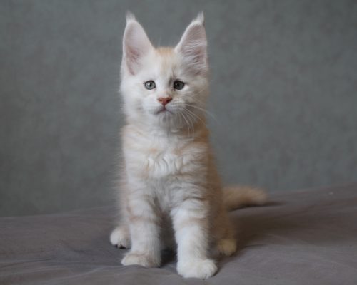 IMG_3926